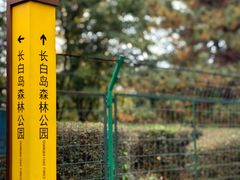 -长白岛森林公园