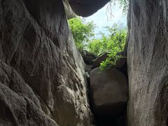 -鲁山国家森林公园