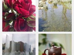 -花果园湿地公园
