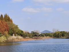 -上海市保健医疗中心