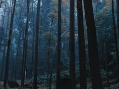 -凤栖山