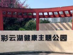 -重庆彩云湖湿地公园