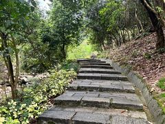 -广州白江湖森林公园