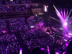 -南京奥林匹克体育中心-体育馆