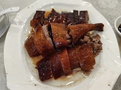 -姚林轩