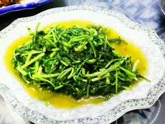 android_upload_pic-白家寨子·山野白族菜(古城总店)