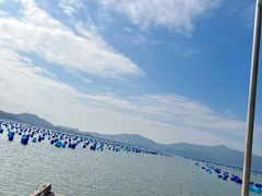 -老炳·七丛松甘草水果