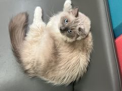 -零纪元VR体验馆·桌游(黄浦店)