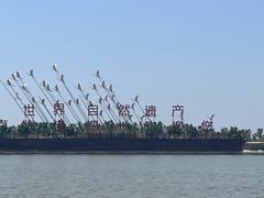 -南大港湿地风景区
