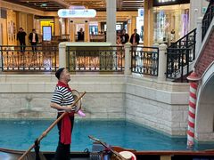 -澳门威尼斯人综合度假区