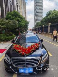 -宁波甬诚婚车(新典路店)