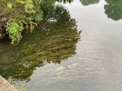 -贵阳市花溪国家城市湿地公园