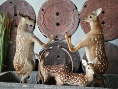 -乔家满族八大碗(流水沟店)