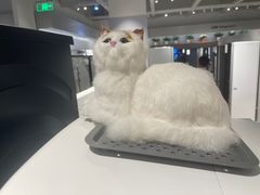 -顺电sundan(颐堤港店)