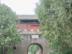 -云岗森林公园
