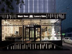 -BLACKSWAN黑天鹅(环球店)