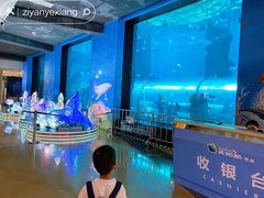 -乐从天佑城海洋馆