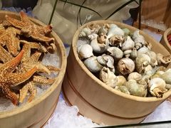 -苏州太湖假日酒店