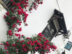 -树山生态村