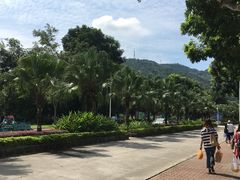 -风云岭森林公园