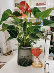 -香秀空间科技抗衰·美容中心