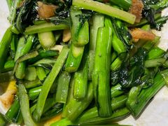 -水煮鱼乡·川京菜(蛇口店)