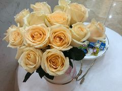 -薛阿婆(北美新天地中心店)