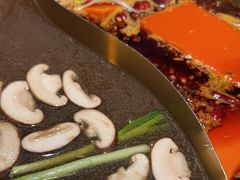 -小天鹅火锅·一线江景洪鼎旗舰店(洪崖洞店)