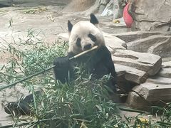 -常州淹城野生动物世界