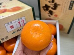 -广州四季酒店
