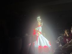 -金东尼人妖秀