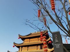 -梅州雁山湖国际花园度假区
