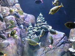 -成都浩海立方海洋公园