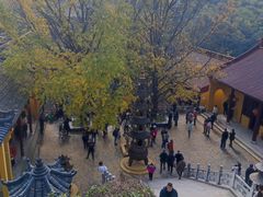 -镇南锅盖面馆(解放路店)