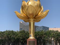 -金莲花广场