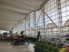 -广州白云国际机场-T2航站楼