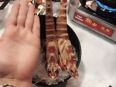 -鲜入围煮花胶鸡海鲜火锅