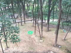 -象山森林公园