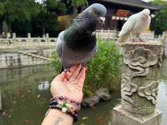 -重元寺