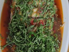 -老字号怡玺·藿香雅鱼(20年雅安店)