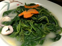 浓汤桑叶-广东道至正餐厅(区庄店)