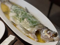 -金枝玉叶上海人家食府(三里河店)