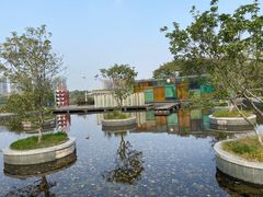 -白塘生态植物园