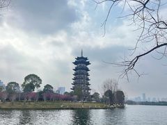 -洋湖国家湿地公园