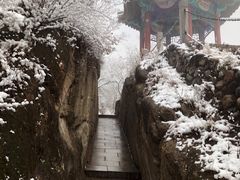 -北京凤凰岭