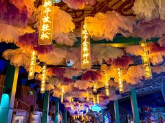 -海合安青岛极地海洋公园