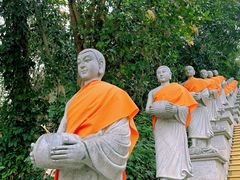 -西双版纳勐泐文化旅游区