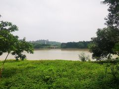 -广东花都湖国家湿地公园