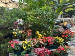 -山水茶艺馆·点心粤菜·30年老字号