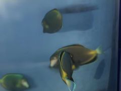 -常州海昌海洋探索馆